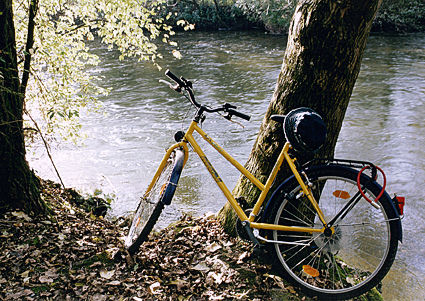 Fahrrad am Baumstamm angelehnt